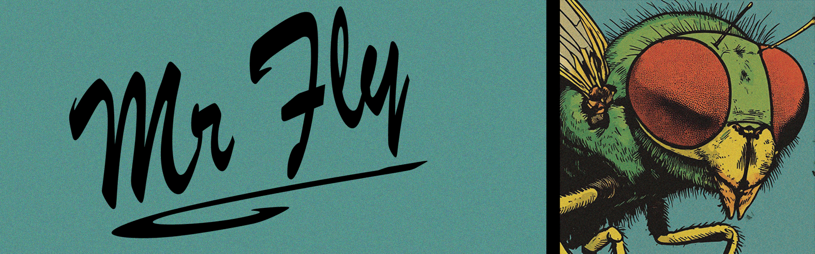 Mr. Fly